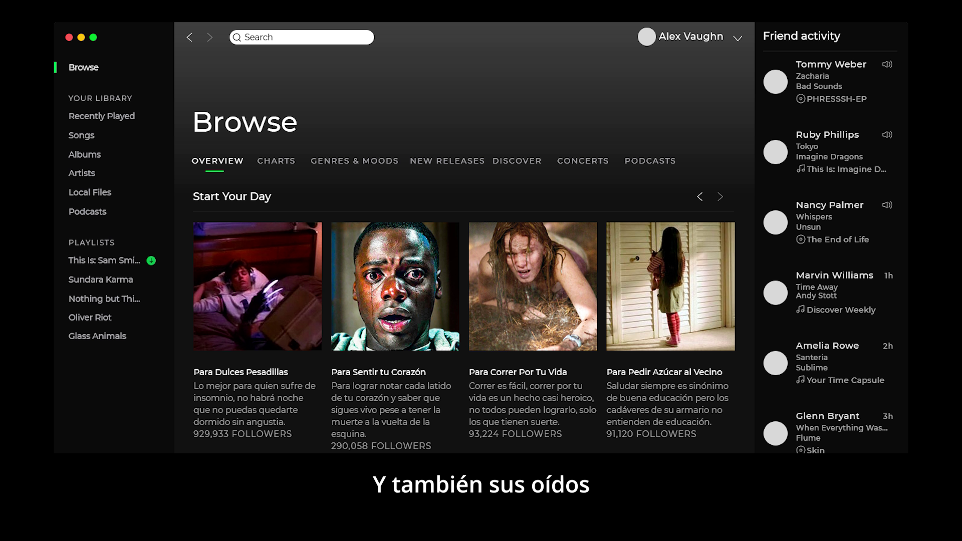 Aplicación de marca HUSH 8